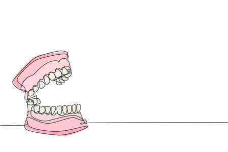 One continuous line drawing of anatomical complete adult human teeth. Modern medical internal anatomy concept single line draw design graphic vector illustrationのイラスト素材