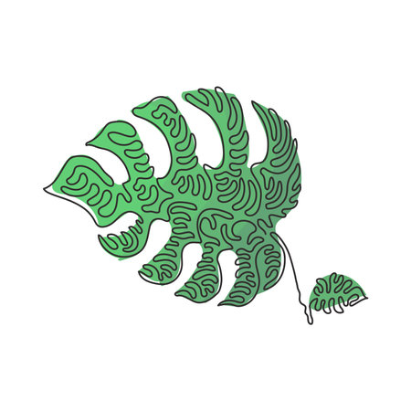 Single continuous line drawing minimal monstera leaf. Botany style concept for posters, wall art, tote bag, mobile case, t-shirt, sticker print. Swirl curl style. One line draw graphic design vectorのイラスト素材