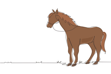 Continuous one line drawing horse standing still not moving watching. Strong character. Equestrian ranch field. Horse racing symbol, equestrian sport. Single line design vector graphic illustrationのイラスト素材