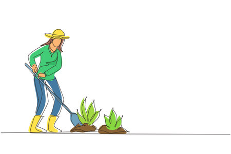 Single continuous line drawing woman digs up the ground with a shovel. Planting, growing vegetables. The care of garden. Agriculture, farming. Dynamic one line draw graphic design vector illustrationのイラスト素材