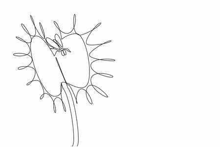 Continuous one line drawing flies are in venus flytrap. Insectivorous plants. Symbiosis of world life. Beneficial to humans. World Carnivorous Plant Day. Single line draw design vector illustrationのイラスト素材