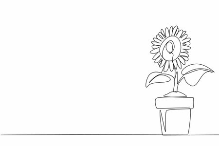 Single continuous line drawing sunflower plants planted in pots. Cultivation. Sunflower seeds become snacks. Bud. International Sunflower Guerilla Gardening Day. One line design vector illustrationのイラスト素材