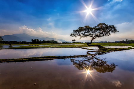 Beautiful Photograph of Morning Mountain View in Salatiga, Central Java, Indonesiaの写真素材