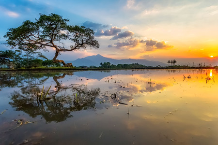 Beautiful Photograph of Morning Mountain View in Salatiga, Central Java, Indonesiaの写真素材