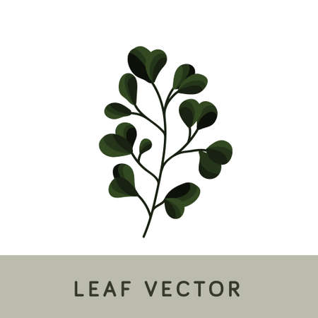 Leaf Brush Watercolor Vectorのイラスト素材