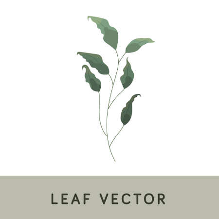 Leaf Brush Watercolor Vectorのイラスト素材