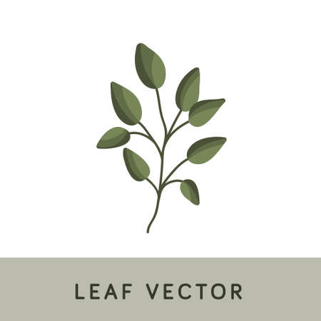Leaf Brush Watercolor Vectorのイラスト素材