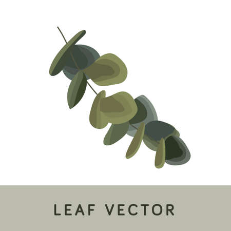 Leaf Brush Watercolor Vectorのイラスト素材