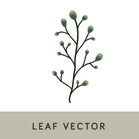Leaf Brush Watercolor Vectorのイラスト素材