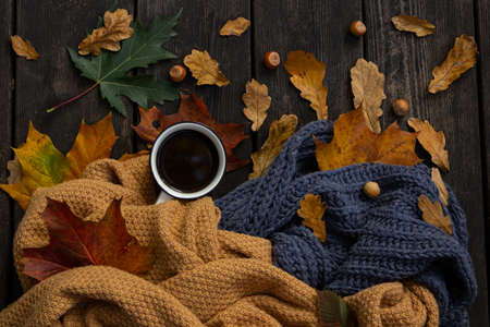 Flat lay autumn or fall composition on wood rustic background. Top view of cup of coffee, knitted scarfs, fallen leaves and hazelnuts. Cozy, warm, relax morning conceptの写真素材