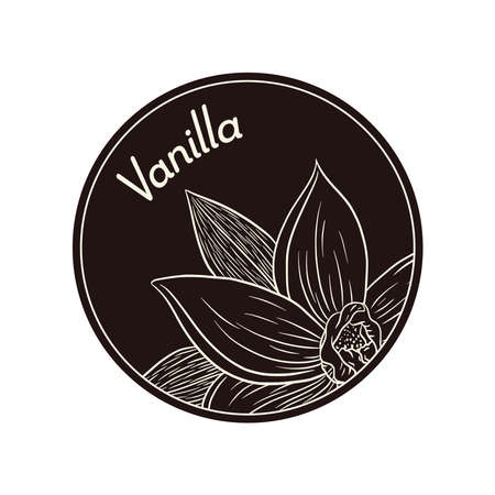 Vintage Style Vanilla Flower in Circle Label Template. Line Art Etching blossom in circle shape design, Emblem, Label, stickers and prints, spa and beauty care productsのイラスト素材