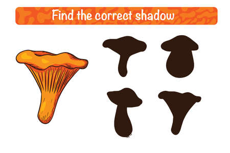 Find Correct Chanterelle Shadow Educational Game for Kids. Shadow matching activity for children with edible mushrooms. Preschool puzzle. Educational worksheet. FInd the correct silhouette gameのイラスト素材