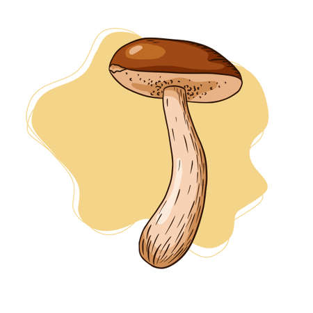 Boletus on Abstract Background Illustration. Line art edible mushroom sketch for logo, label, emblem, prints, stickers, menu design and decorationのイラスト素材