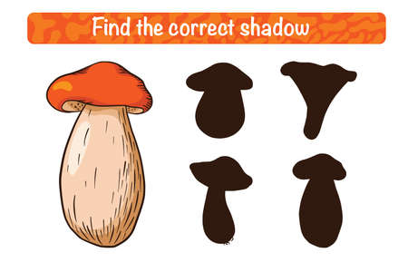 Find Correct Orange-cap Boletus Shadow Educational Game for Kids. Shadow matching activity for children with edible mushrooms. Preschool puzzle. Educational worksheet. FInd the correct silhouette gameのイラスト素材
