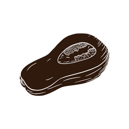 Butternut Squash Piece Silhouette. Autumn pumpkin Illustration. Fresh gourd shadow.のイラスト素材