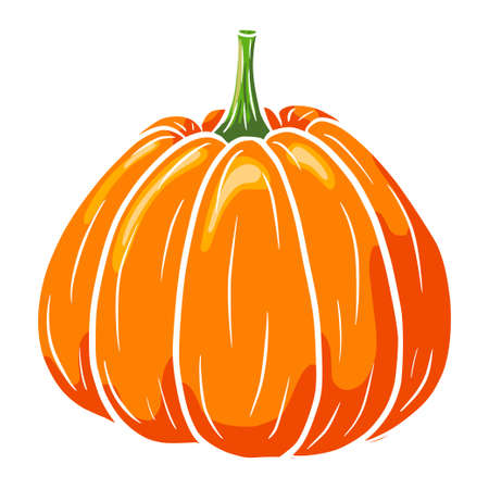 Juicy Pumpkin. Autumn Food Icon. Ripe squash sketch.のイラスト素材