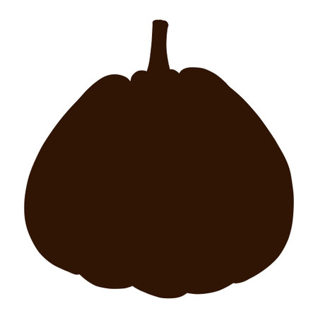 Ripe Squash Shadow. Autumn Food Illustration. Pumpkin Silhouette.のイラスト素材