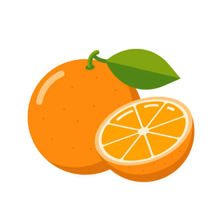 Fresh Orange Fruit Icon. Flat Style. Sliced ripe citrus illustration.のイラスト素材