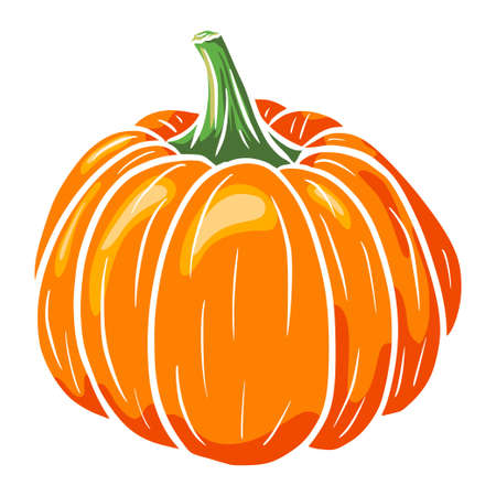Hand drawn pumpkin sketch.のイラスト素材