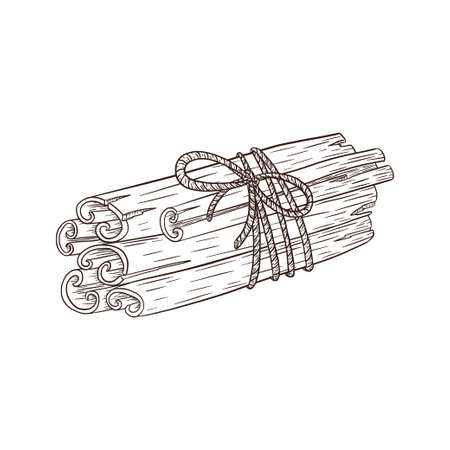 Tied Bunch of Cinnamon Sticks. Engraved Illustration. Hand drawn seasonal spicy sketch for recipe, print, sticker, menu design and decorationのイラスト素材