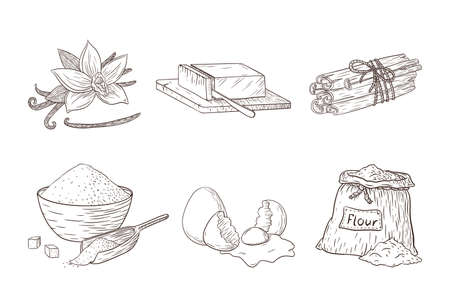 Baking Ingredients Engraved Illustrations Set. Collection of hand drawn food sketches for recipe, print, sticker, bakery menu design and decorationのイラスト素材