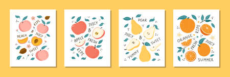 Hand Drawn Fruits Still Life Set. Doodle style fruits illustrations for poster, banner, background, market label, postcard, sticker, menu, food package design and decorationのイラスト素材