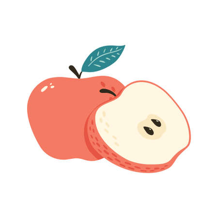 Sweet Fresh Red Apple with Leaf isolated vector illustration. One whole fruit and a half with seeds. Cartoon styleのイラスト素材