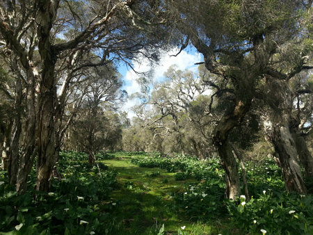 A view at a farmの写真素材