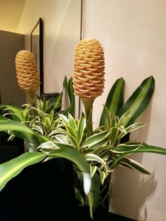 Mirror Image Reflectionの素材