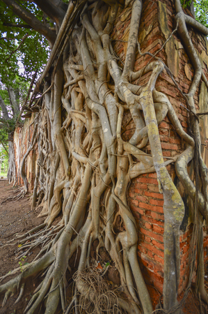 Ancient templeの写真素材