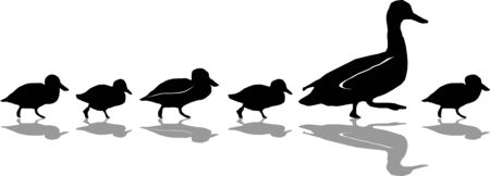 Duck Silhouette with Chicks Vectorのイラスト素材