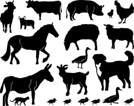 Animal Domestic Farmer Outline Silhouette Vectorのイラスト素材