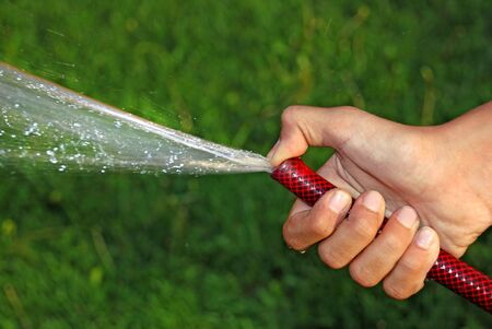 child hand keeping water hose over green grassの写真素材