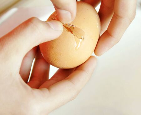 hands opening broken eggshell of brown raw eggの写真素材