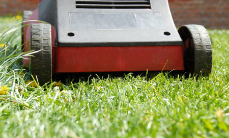 red  mowing machine on green grass closeup
