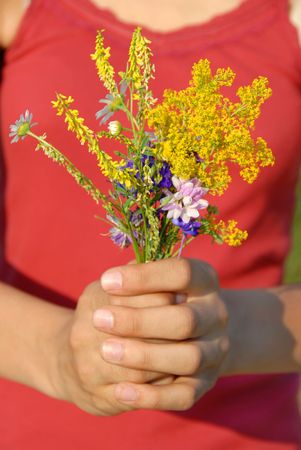 various summer field flowers bouquet in girl handsの写真素材