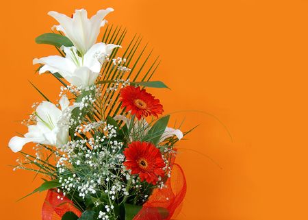 white lilies and red daisies over orange backgroundの写真素材