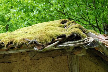 architecture details, moss on tiled roof of old earth house in Serbiaの写真素材