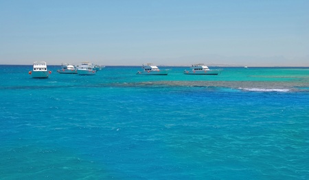 group of white boats on turquoise water of Red Sea, Egyptの写真素材