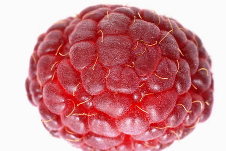 one ripe red raspberry on white background