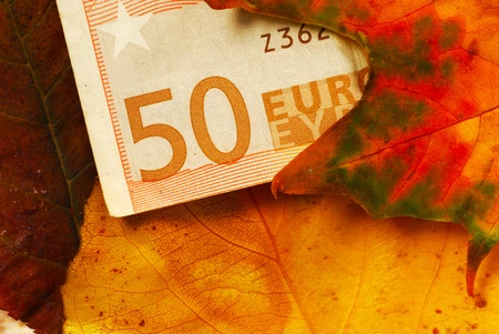 fifty euro banknote under natural red autumn leavesの写真素材