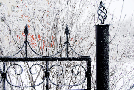 details of winter black iron fence with frost closeup during wintertimeの写真素材