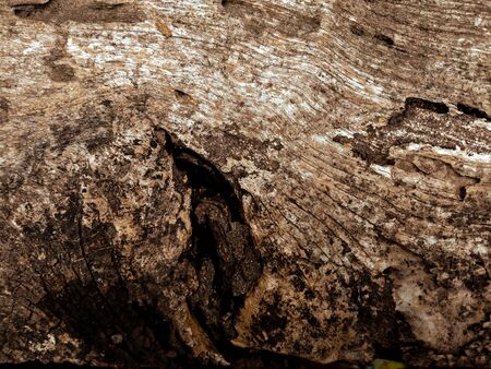 Dark brown scratched wooden board. Wood texture background surface with natural pattern. Rustic wooden table top view.の写真素材