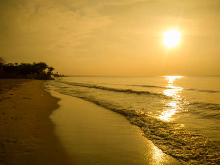 Tropical sunset at the beach with tree at dawnの写真素材