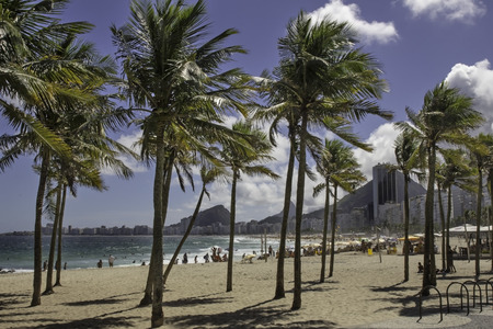 Palms on the beach of Leme in Rio de Janeiro Brazilの写真素材