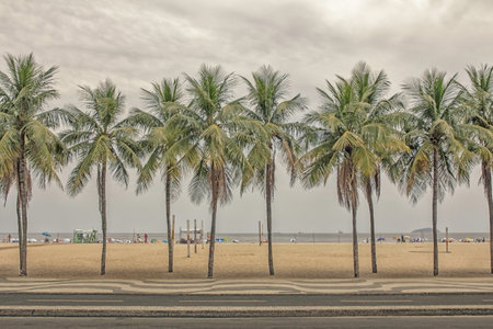 Palm trees on Copacabana beach in Rio de Janeiroの写真素材