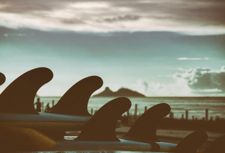 Surfboards on the roof of the car