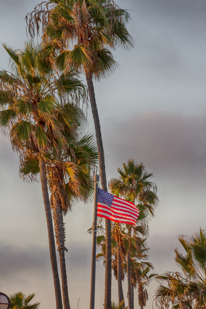 American flag with some palm trees in the backgroundの写真素材