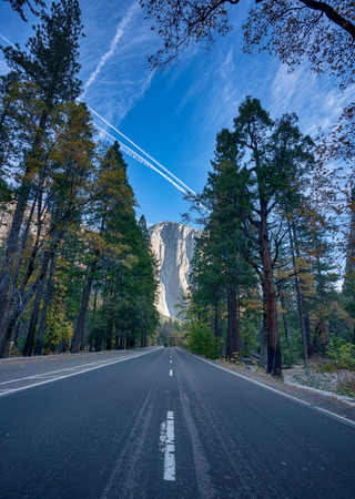 El Capitan seen from the bed of Yosemite Valley in Yosemite National Park in Californiaの写真素材