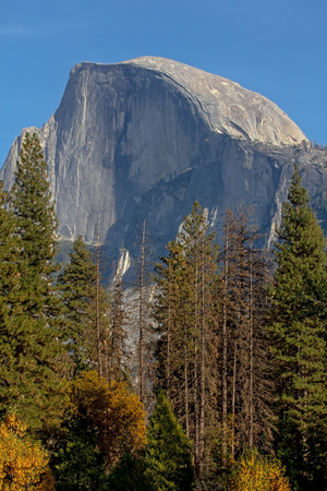 Half Dome in Yosemite National Park in Californiaの写真素材